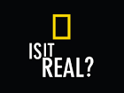 File:Is it real.jpg - Wikipedia, the free encyclopedia