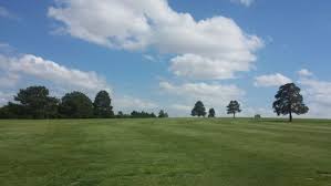 Image result for Nelson Cc