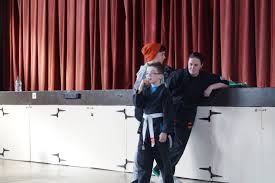 Image result for Budo Warrior Schools