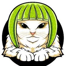 Image result for limecat