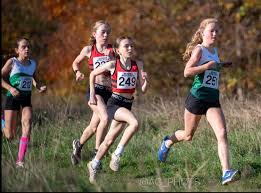 Image result for Brighton & Hove City Athletics Club