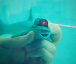 Image result for sharks lasers