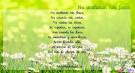 Poemas de amor y amistad - Para matar el aburrimiento!!!