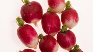 Image result for Raphanus sativus ssp. Oleiformes