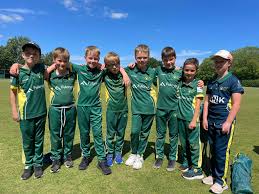 Image result for Ashtead Cricket Club