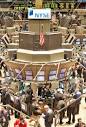 Stifel Nicolaus Lowers Estimates On NYSE Euronext, Reiterates Buy ...