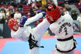 Image result for English International Allstyles Taekwon-Do