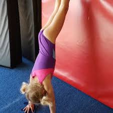 Image result for Aerodyne Gymnastics Club