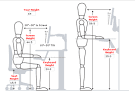 Increase Productivity via Ergonomics & Activity
