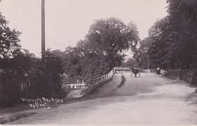 Image result for Byfleet Angling Club