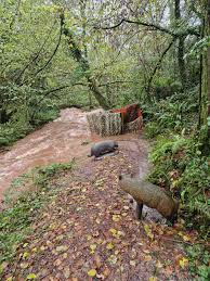 Image result for Ashcombe Valley Archers