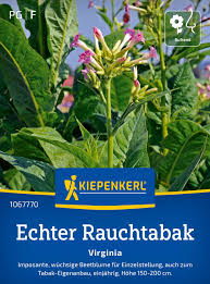 Attēlu rezultāti vaicājumam “Nicotiana tabacum”