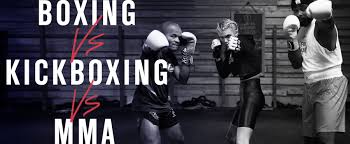 Image result for United Dojos Kickboxing