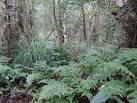 Askham Bog's diverse habitats - via Daymix