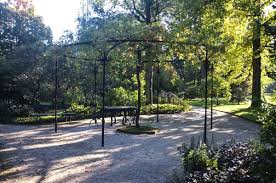 Image result for Arboretum Trompenburg