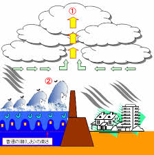 Image result for 高潮 津波 別物