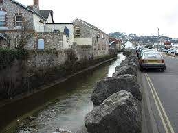 Image result for Newton Abbott Knights