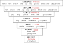 The Levels of Classification