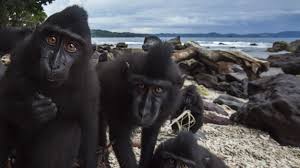 Image result for bilder