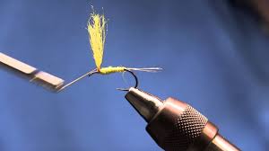 Attēlu rezultāti vaicājumam “Heptagenia sulphurea female”