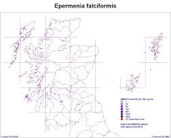 Attēlu rezultāti vaicājumam “Epermenia falciformis”