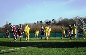 Image result for Dorking Wanderers F C