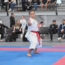Image result for United Sport Karate