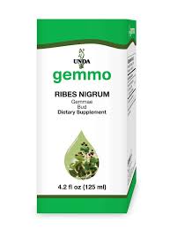 Attēlu rezultāti vaicājumam “Ribes nigrum”