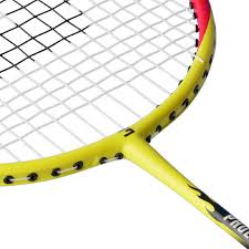 Image result for Phoenix Wood Badminton Club