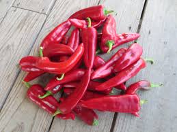 Afbeeldingsresultaat voor numex chimayo hot pepper