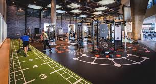 Image result for David Lloyd Senior Badminton Club