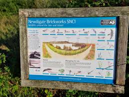 Image result for Newdigate Clays