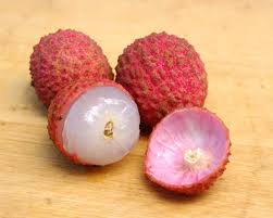Image result for Litchi chinensis