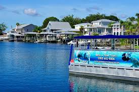 Image result for Paddletastic