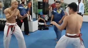 Image result for Kyokushin Karate