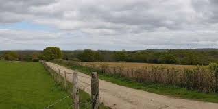 Image result for Bidborough Cc