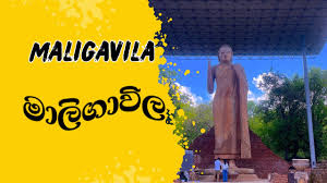 Image result for Buddha Maligavilla Srilanka