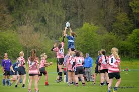 Image result for Bishop Auckland Rugby Union Football Club