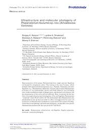 Attēlu rezultāti vaicājumam “Symphytocarpus impexus young”