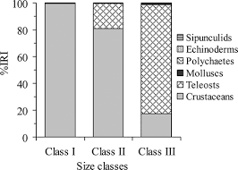 Image result for Raja radula