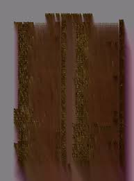 Attēlu rezultāti vaicājumam “Licea minima sessile”