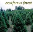 Coniferous Forest Biome