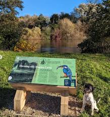 Image result for Runnymede Ramblers