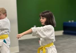 Image result for Arlington Martial Arts Academy