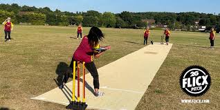 Image result for Frimley Cricket Club