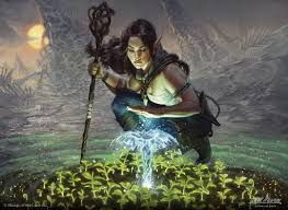 Image result for druid