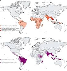 Attēlu rezultāti vaicājumam “Dianema depressum plasmodium”
