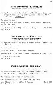 Attēlu rezultāti vaicājumam “Myriosclerotinia scirpicola”