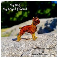 Image result for brüsseler giffon