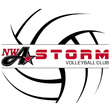 Image result for Storm Junior Netball Club